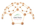 Little Dome by Lily & River | Indoor Climbing Dome | Natural Hardwood | Made in the USA | Lily & River Workshop | Playroom Must-Have